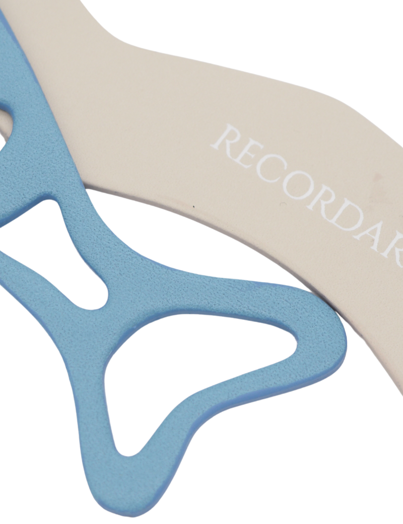 Sardina hielo charm - Ferent Bags 